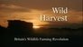 Wild Harvest