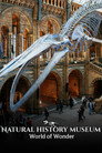 Natural History Museum: World of Wonder