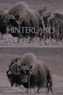 Hinterland Who's Who: The Musk Ox