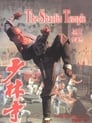 Movie poster for Shaolin Temple