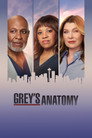 Season 23