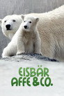 Eisbär, Affe & Co.