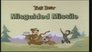 Misguided Missile