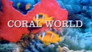 Coral World