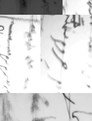 Ink Dissolved