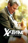 Постер: Hachi: A Dog's Tale