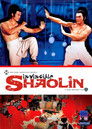 Plakat for 'Invincible Shaolin'