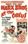 3-At the Circus
