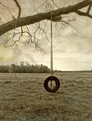 Swing