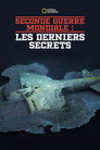 Seconde Guerre Mondiale : les derniers secrets (2019) - Affiche