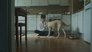 Image Tore (2023)