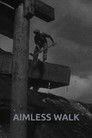 Aimless Walk