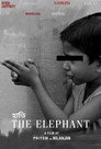 The Elephant