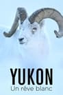 Yukon : Un rêve blanc
