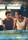 Luciérnagas Luciérnagas