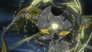 A World Without Lies