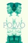 Polvo