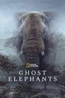Plakat for 'Ghost Elephants'