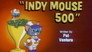 Indy Mouse 500