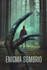 Image Enigma Sombrio