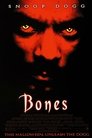 Poster van Bones