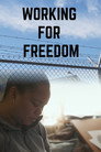 Working for Freedom