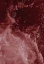 Maré Terra