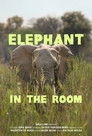Elephant in the Room