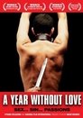 Un año sin amor Un año sin amor