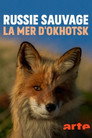 Russie sauvage : la mer d’Okhotsk