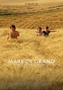 Mare di grano (2018)