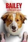 Bailey – Ein Hund kehrt zurück