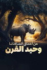From the depths of the savannah... a rhinoceros