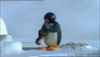 Pingu and the Fish Flute