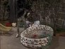 Episode 41