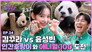 Sakura X Yun Sung Bin! Animal: 100 Challenge with Fu Bao, Tiger and T Express!