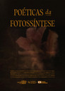 Poéticas da Fotossíntese