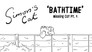 Missing Cat (1): Bathtime