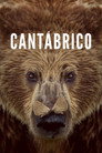 Cantabrico
