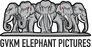 GVKM Elephant Pictures GVKM Elephant Pictures