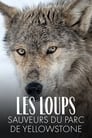 Les Loups, sauveurs du parc de Yellowstone