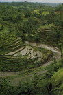 (HD). The Three Worlds Of Bali Teljes Film Magyarul (1981) Ingyen Online