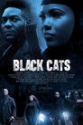 Black Cats