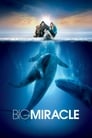 Movie poster for Big Miracle (2012)