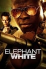 Poster for Elephant White