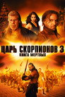 Постер: The Scorpion King 3: Battle for Redemption