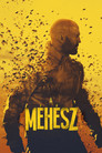 (HD). A Méhész Teljes Film Magyarul (2024) Ingyen Online