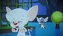 Image Animaniacs (2021) Temporada 1 HD 1080p Latino