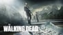 2010 - The Walking Dead thumb