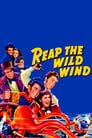 Poster for Reap the Wild Wind